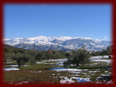 Sierra Nevada y La Vega de Granada